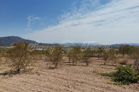 Helårsgrund i Raspay, Murcia, Raspay - € 22.900 | Ref: SF0356 - foto 3